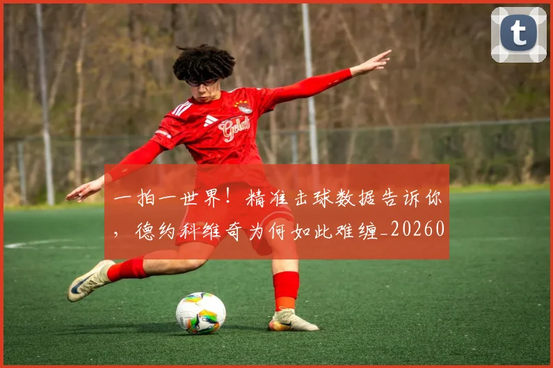 一拍一世界!精准击球数据告诉你,德约科维奇为何如此难缠_20260530144200