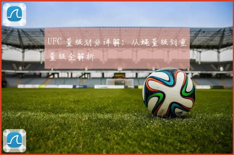 UFC 量级划分详解：从蝇量级到重量级全解析