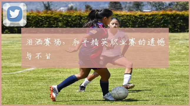 泪洒赛场，和平精英职业赛的遗憾与不甘