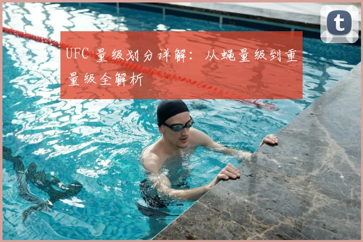 UFC 量级划分详解：从蝇量级到重量级全解析