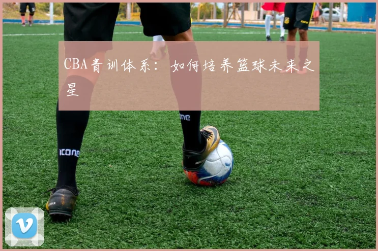 CBA青训体系：如何培养篮球未来之星